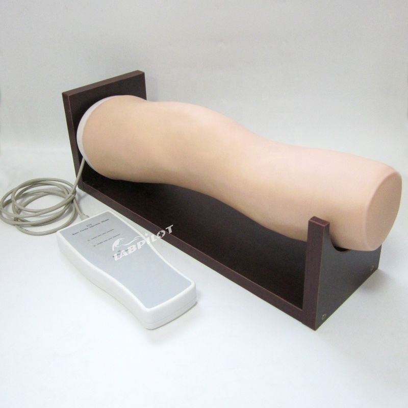 Vivid Electronic Knee Joint Intra-articular Injection Training Model voor klinische verpleegkundige vaardigheden