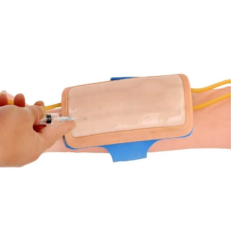 Geavanceerde PVC-voorarm-venenetuctie-trainingsoplossing IV-injectieoplossing voor medische wetenschappen