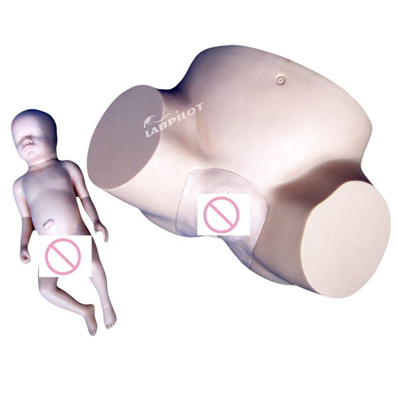 Schools Vacuum Delivery Geboorte simulator met zachte baby pop en menselijke levensgrootte