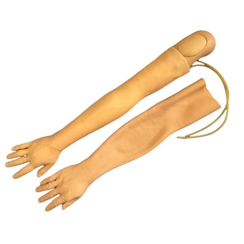 Vivid Arm Model voor IV-injectieopleiding Multifunktioneel Clinical Nursing Training Model