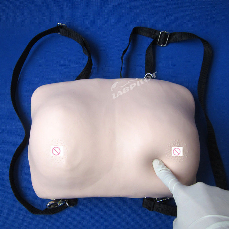 Bors zelfonderzoek Training Mannequin Realistisch huidmodel voor gynaecologische zorg
