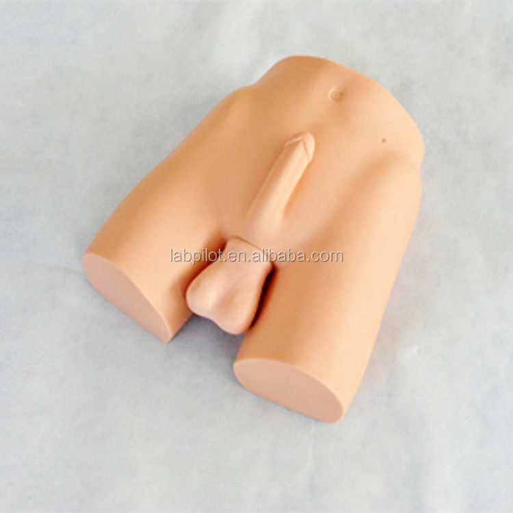 Gevorderd PVC-vasektomie-mannequinmodel en vasoligatie-trainingsimulator voor producten