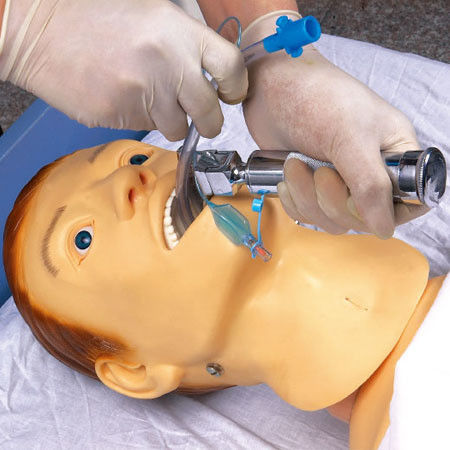 Medisch onderwijs Simulators Verpleegkunde Training Mannequin voor NG buisvoeding en intubatie