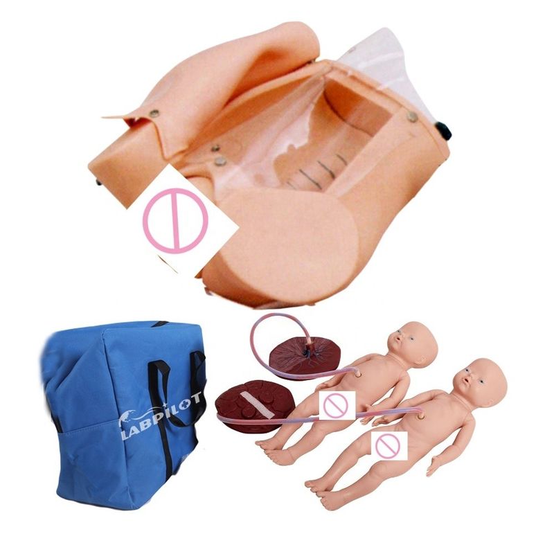 Realistische menselijke levensgrootte Zwangere vrouw model en tweeling babypop voor bevallingstraining