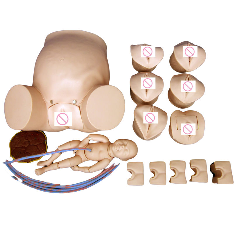 Geavanceerde PVC-bevallingsmannequincategorieën voor zwangere vrouwen
