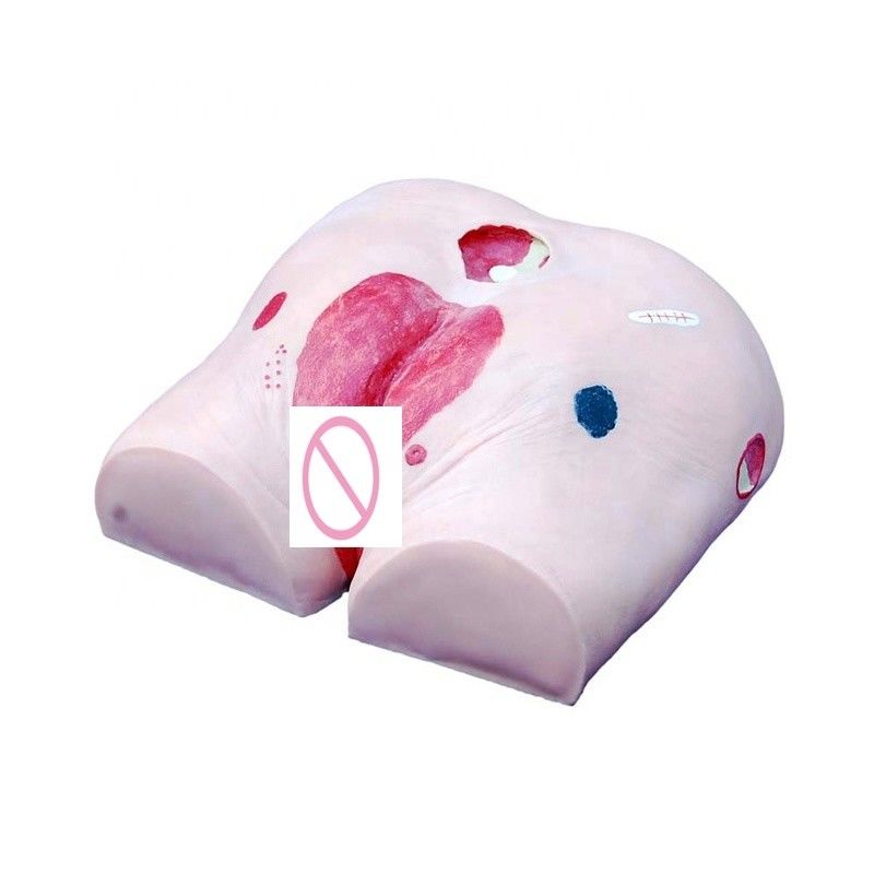 Human Model Decubitus Ulcer Care Training Simulator voor categorieën in de medische wetenschap
