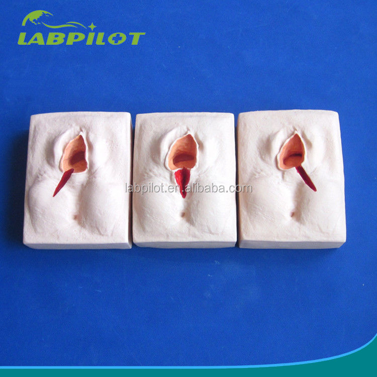 Geavanceerde PVC-trainingssimulator voor episiorrafie voor realistische vulva-suringstechnieken