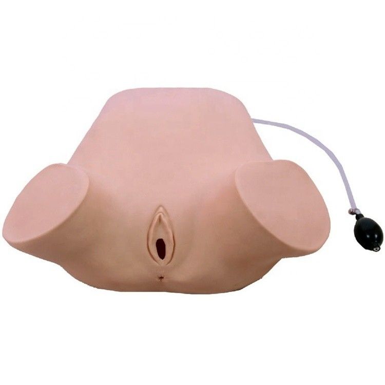 Geavanceerde PVC Multifunctionele Vier Manoeuvres Leopold Model Rectaal en Vaginaal Onderzoek Training Mannequin