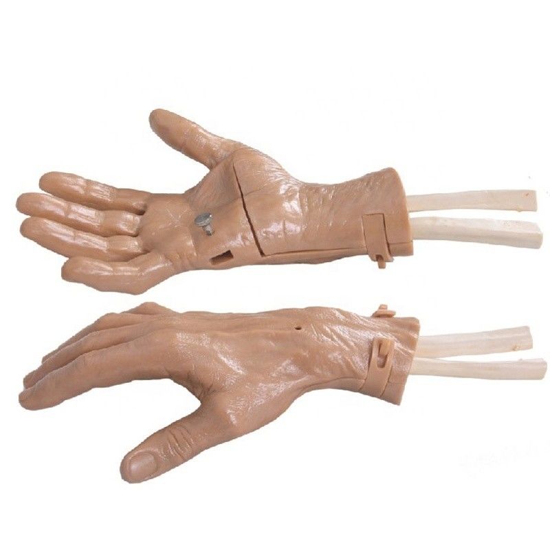 Realistische handbeweging Hand training herstel simulator met levendige anatomie structuur