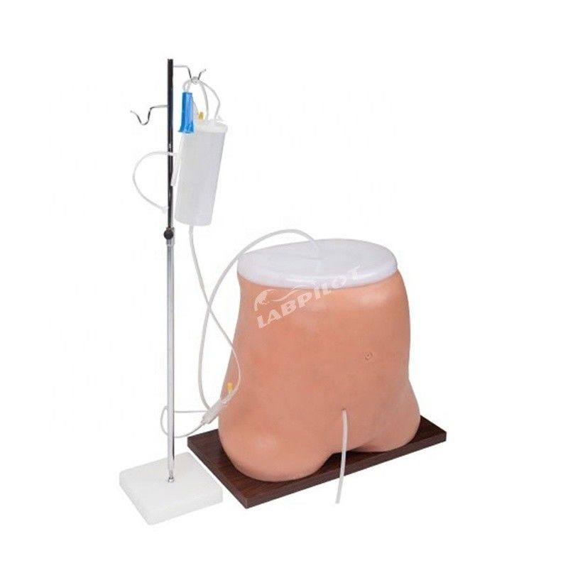 Peritoneale dialyse-trainingssimulatormodel met geavanceerd PVC-materiaal