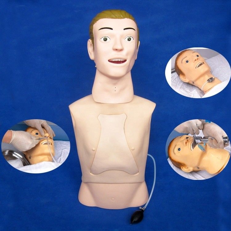 Half-Body Mannequin Het ultieme onderwijsmodel voor nasogastrische voeding in ziekenhuizen