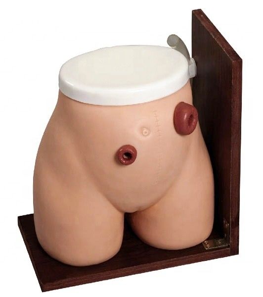 Enema vaardigheden leren Mannequin Het perfecte trainingsinstrument voor medische fistel stoma zorg