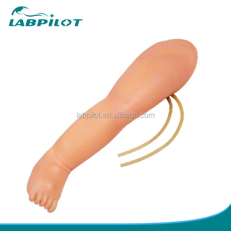 Injectie-simulator voor het trainen van baby-venenetuctie Leg IV met voordeel van geavanceerd PVC