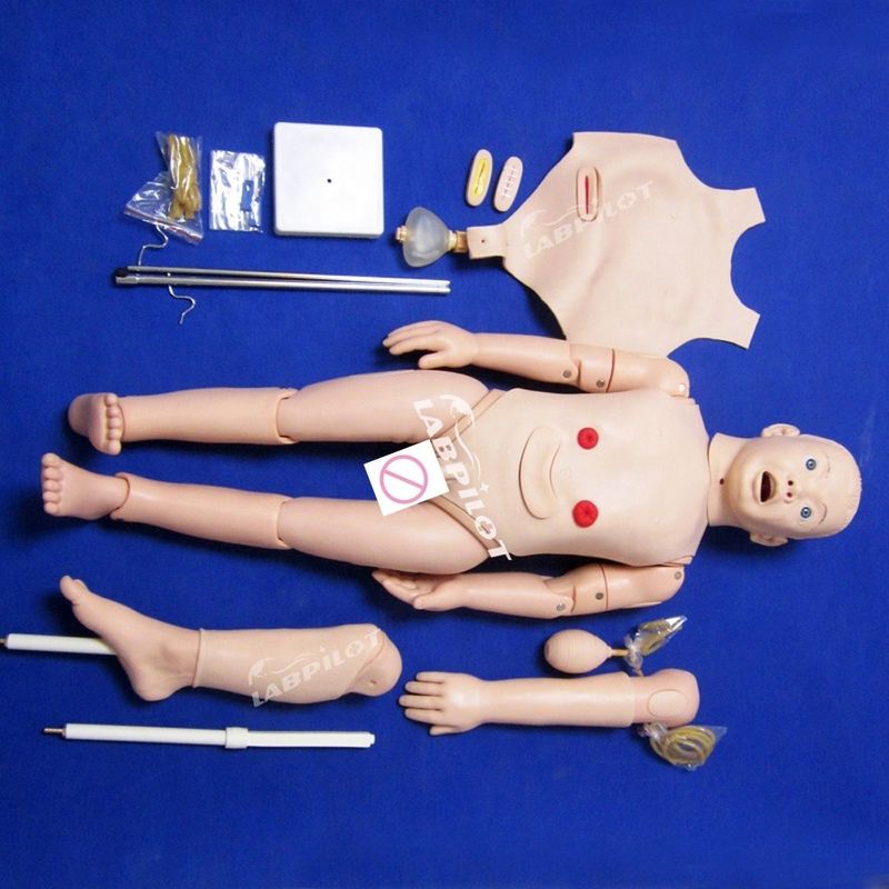 Kindergeneeskunde Anatomisch model voor de opleidingen in de kinderverzorging en -verzorging van 3-jarigen