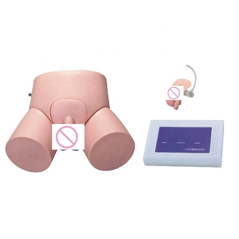 Geavanceerde PVC-controller bediende katheterisatie-mannequin voor verpleegkunde