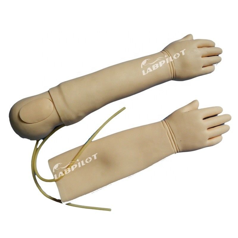 Geavanceerd PVC-materiaal Intravenous Infusion Training Arm Model voor 4-jarigen