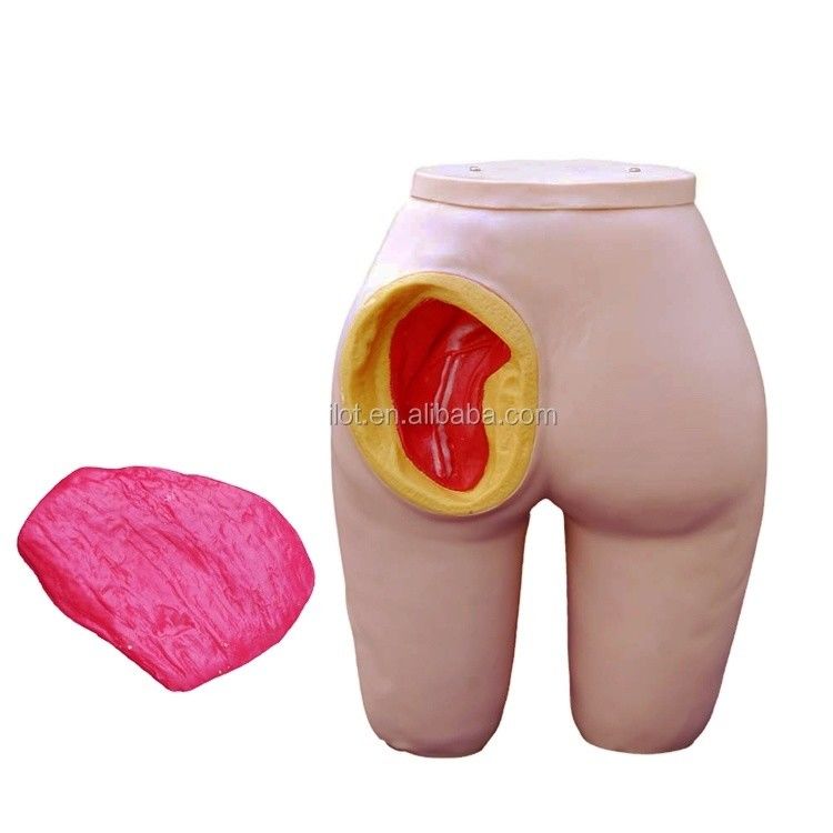 Human Life Size Gluteus Intramusculaire Injectie Opleidingsmodel voor patiëntenzorg Demo