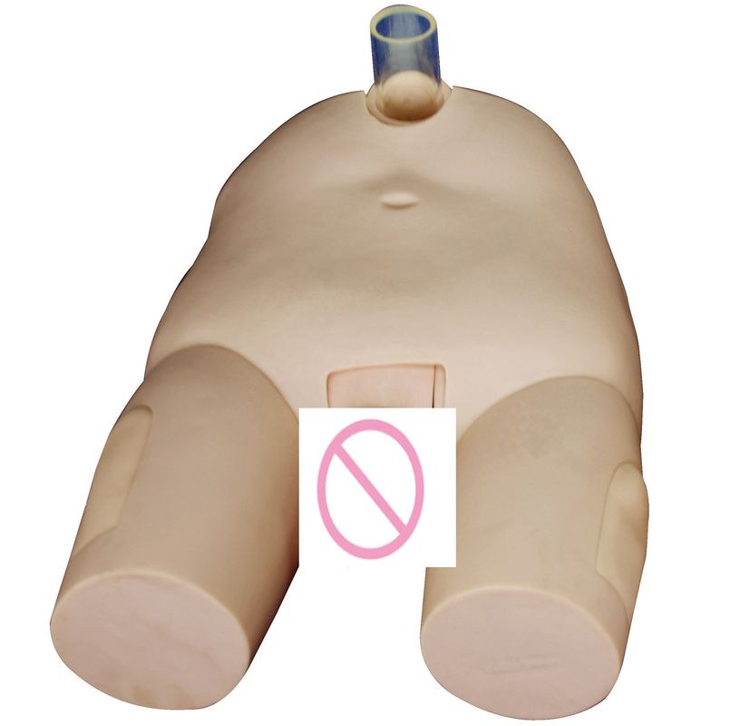 PVC Man/Vrouw Blaas Irrigatie Opleidingsmodel Katheterisatievaardigheden en Punctie Operatie Simulator