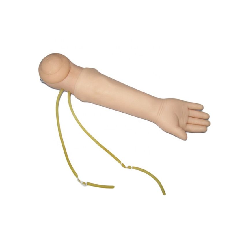Mensengrootte Mannequin Draagbaar Baby Venipuncture Training Arm Model IV Arm Injectie Onderwijs Hand Phantom