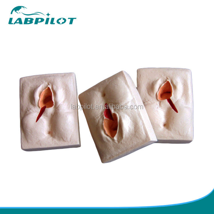 Gynaecologische vaardigheden Onderwijs 3-set Perineum Suring Simulator en Episiotomy Wond Suring Model